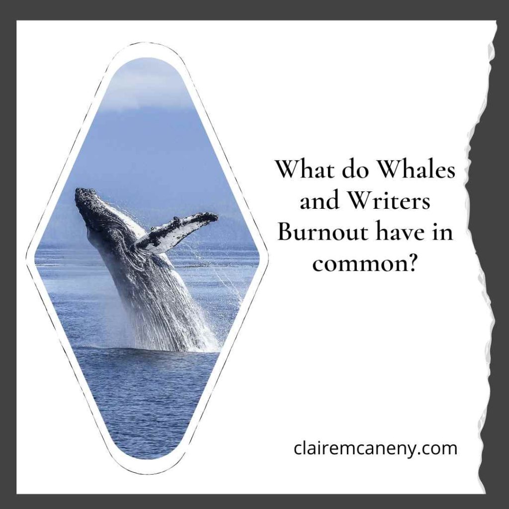What do Whales and Writer's burnout have in common