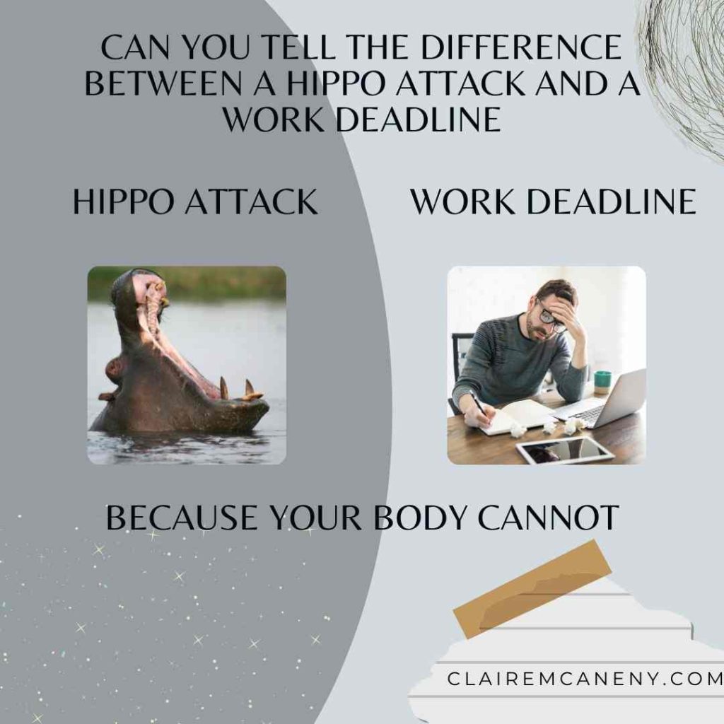 Can you tell the difference between a hippo attack and a work deadline? Because your brain cannot 